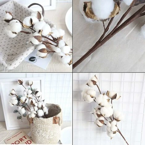 SOEKAVIA 4 Cotton Fioc Bianco Naturale, 10 Cotton Fioc Per Cotton Fioc, 53,3 Cm, Piccozze Di Fiori, Stile Country, Decorazione. 5 SOEKAVIA 4 Cotton Fioc Bianco Naturale, 10 Cotton Fioc Per Cotton Fioc, 53,3 Cm, Piccozze Di Fiori, Stile Country, Decorazione. - immagine 5