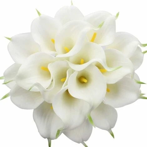 SOEKAVIA 20 Pezzi Sposa Calla Lilies Bouquet Di Fiori Artificiali Latex Blossom Real Touch Home Party Wedding Decoration (bianco-giallo) 1 SOEKAVIA 20 Pezzi Sposa Calla Lilies Bouquet Di Fiori Artificiali Latex Blossom Real Touch Home Party Wedding Decoration (bianco-giallo)