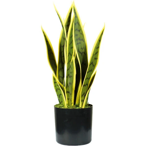 King Home Pianta SANSEVIERIA H. 45 Cm 12 FOGLIE Completa Di Vaso Con Muschio 1 King Home Pianta SANSEVIERIA H. 45 Cm 12 FOGLIE Completa Di Vaso Con Muschio