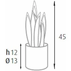 King Home Pianta SANSEVIERIA H. 45 Cm 12 FOGLIE Completa Di Vaso Con Muschio 7 King Home Pianta SANSEVIERIA H. 45 Cm 12 FOGLIE Completa Di Vaso Con Muschio -Vendite ATMOSPHERA 40982766 4