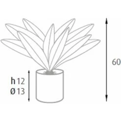 King Home Pianta DRACAENA H. 60 Cm 19 FOGLIE Completa Di Vaso Con Muschio -Vendite ATMOSPHERA 40982777 3