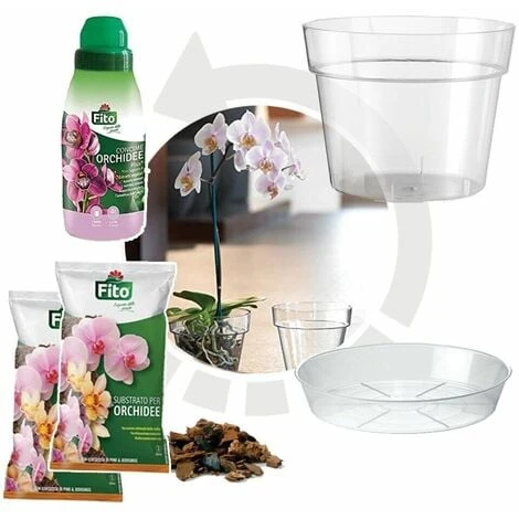 Kit Rinvaso Per Orchidee Completo - Vaso Trasparente Da Ø 15cm Con Sottovaso + Substrato Specifico Per Orchidee 1 Lt + Concime Liquido 250ml - Inclusa Guida Completa 1 Kit Rinvaso Per Orchidee Completo - Vaso Trasparente Da Ø 15cm Con Sottovaso + Substrato Specifico Per Orchidee 1 Lt + Concime Liquido 250ml - Inclusa Guida Completa