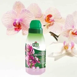 Kit Rinvaso Per Orchidee Completo - Vaso Trasparente Da Ø 15cm Con Sottovaso + Substrato Specifico Per Orchidee 1 Lt + Concime Liquido 250ml - Inclusa Guida Completa 9 Kit Rinvaso Per Orchidee Completo - Vaso Trasparente Da Ø 15cm Con Sottovaso + Substrato Specifico Per Orchidee 1 Lt + Concime Liquido 250ml - Inclusa Guida Completa -Vendite ATMOSPHERA 46501467 5