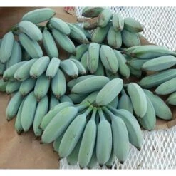 Vendite ATMOSPHERA -Vendite ATMOSPHERA 48410463 2