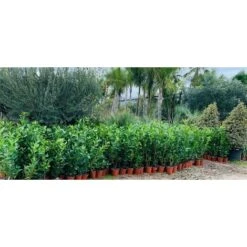 Vendite ATMOSPHERA -Vendite ATMOSPHERA 48889476 2