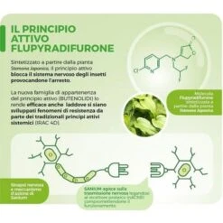 SANIUM PIN INSETTICIDA SISTEMICO 7 SANIUM PIN INSETTICIDA SISTEMICO -Vendite ATMOSPHERA 53940660 3