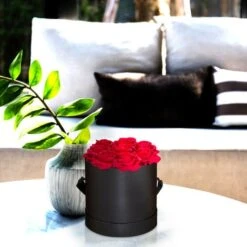 Relaxdays Bouquet Rose Eterne, Box Nero Rotondo Con 8 Fiori Finti, Resistente, Idea Regalo Scatola Romantica, Rosso 7 Relaxdays Bouquet Rose Eterne, Box Nero Rotondo Con 8 Fiori Finti, Resistente, Idea Regalo Scatola Romantica, Rosso -Vendite ATMOSPHERA 54889736 3