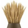 HIASDFLS 100 Foglie Di Grano Essiccate Da 40 Cm Per Camino, Casa, Cucina, Chiesa, Tavolo Da Matrimonio, Ghirlanda Di Natale