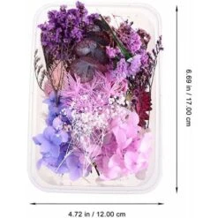HIASDFLS Set Di Fiori Secchi, 1 Set Pressato, Naturale, Margherita Essiccata, Naturale, Molte Varietà, Per La Decorazione Di Biglietti Di Auguri, Custodie Per Cellulari -Vendite ATMOSPHERA 59010162 3