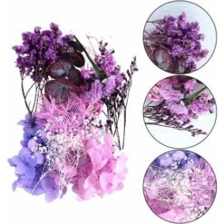 HIASDFLS Set Di Fiori Secchi, 1 Set Pressato, Naturale, Margherita Essiccata, Naturale, Molte Varietà, Per La Decorazione Di Biglietti Di Auguri, Custodie Per Cellulari -Vendite ATMOSPHERA 59010162 4