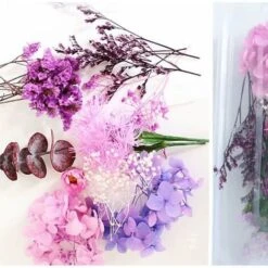 HIASDFLS Set Di Fiori Secchi, 1 Set Pressato, Naturale, Margherita Essiccata, Naturale, Molte Varietà, Per La Decorazione Di Biglietti Di Auguri, Custodie Per Cellulari -Vendite ATMOSPHERA 59010162 5