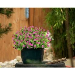 10 Mazzi Di Fiori Artificiali Piante Finte. Arbusti Verdi Resistenti Ai Raggi UV Piante Di Eucalipto Fioriera Sospesa Per Interni Ed Esterni Decorazioni Per Il Giardino Di Casa. Rosso -Vendite ATMOSPHERA 67412290 3