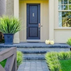 Confezione Da 12 Piante Artificiali Resistenti Ai Raggi UV Piante Artificiali In Plastica Che Non Sbiadiscono Decorazione Da Giardino/finestra (erba Verde) -Vendite ATMOSPHERA 67909212 5