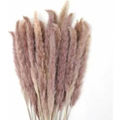 MINKUROW 30 Pezzi Di Erba Di Pampa, Bouquet Di Fiori Secchi Di Pampa Naturale Da 45 Cm Per Vasi, Decorazione Boho Camera Da Letto, Soggiorno, Casa, Decorazione Da Tavola Per Matrimoni