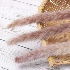 MINKUROW 30 Pezzi Di Erba Di Pampa, Bouquet Di Fiori Secchi Di Pampa Naturale Da 45 Cm Per Vasi, Decorazione Boho Camera Da Letto, Soggiorno, Casa, Decorazione Da Tavola Per Matrimoni -Vendite ATMOSPHERA 69785524 4