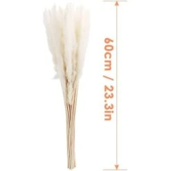 MINKUROW 30 Pz Erba Di Pampa, Erba Di Pampa Naturale Erba Di Pampa Essiccata Erba Phragmites Mazzo Di Fiori Secchi Decorazione Della Casa 9 MINKUROW 30 Pz Erba Di Pampa, Erba Di Pampa Naturale Erba Di Pampa Essiccata Erba Phragmites Mazzo Di Fiori Secchi Decorazione Della Casa -Vendite ATMOSPHERA 69789059 5