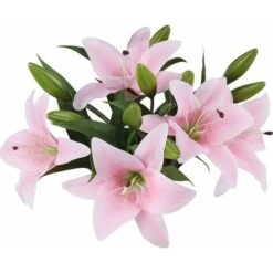ZOLGINAH Bouquet Di Fiori Artificiali Set Di 5 Fiori Artificiali Finti Giglio Plastica Per La Casa Deco Matrimonio Paese Cimitero Pianta Artificiale Per Esterni Interni (rosa) -Vendite ATMOSPHERA 71127522 4