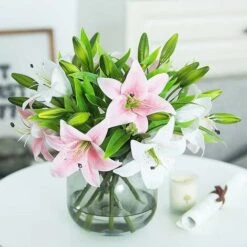 ZOLGINAH Bouquet Di Fiori Artificiali Set Di 5 Fiori Artificiali Finti Giglio Plastica Per La Casa Deco Matrimonio Paese Cimitero Pianta Artificiale Per Esterni Interni (rosa) -Vendite ATMOSPHERA 71127522 5