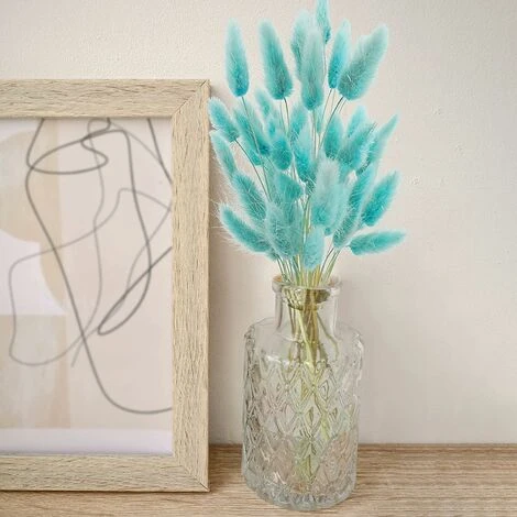 READCLY-50 Pezzi Di Fiori Secchi Della Pampa All'erba Non Sbiadiscono Mai Fiori Secchi Decorazione Naturale Fiori Bohémien Decorazione Compleanno Decorazione Matrimonio Decorazione Domestica (azzurro 3 READCLY-50 Pezzi Di Fiori Secchi Della Pampa All'erba Non Sbiadiscono Mai Fiori Secchi Decorazione Naturale Fiori Bohémien Decorazione Compleanno Decorazione Matrimonio Decorazione Domestica (azzurro - immagine 3