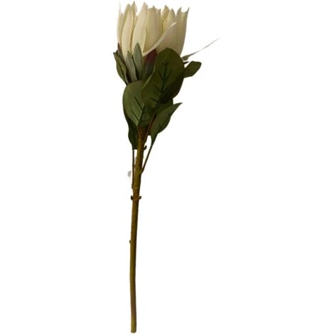 RAMO PROTEA H68 BIANCA 1 RAMO PROTEA H68 BIANCA