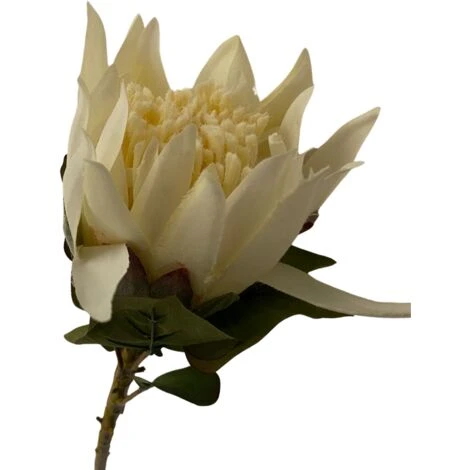 RAMO PROTEA H68 BIANCA 2 RAMO PROTEA H68 BIANCA - immagine 2