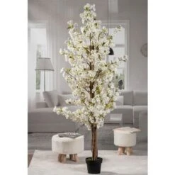 Star PIANTA CILIEGIO VASO X DEC BIANCO D20XH200