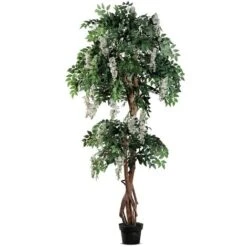 Star GLICINE IN VASO BIANCO X DEC. DM.80X185