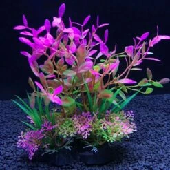 Acquario Artificiale Piante Decorative Erbacce Acquatiche Piante Acquatiche Decorative Serbatoio Di Pesce Erba Accessori Decorativi 14 Cm -Vendite ATMOSPHERA 76983040 5