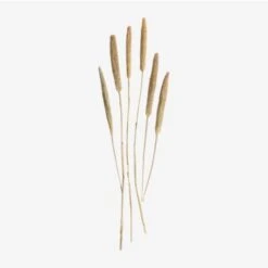 SKLUM Bouquet Decorativo Koty Beige Crema