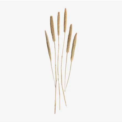 SKLUM Bouquet Decorativo Koty Beige Crema 1 SKLUM Bouquet Decorativo Koty Beige Crema