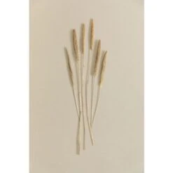 SKLUM Bouquet Decorativo Koty Beige Crema 7 SKLUM Bouquet Decorativo Koty Beige Crema -Vendite ATMOSPHERA 77183379 3