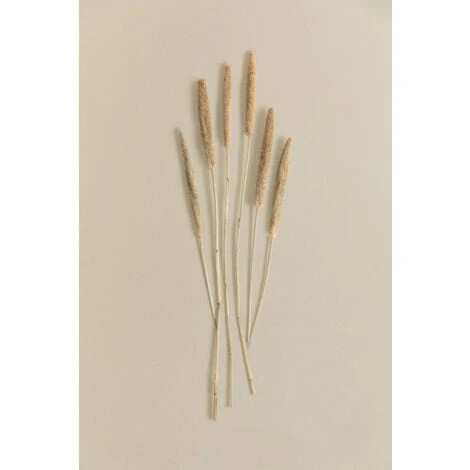 SKLUM Bouquet Decorativo Koty Beige Crema 3 SKLUM Bouquet Decorativo Koty Beige Crema - immagine 3