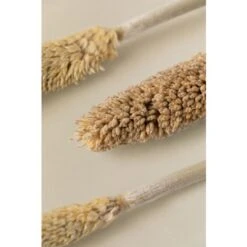 SKLUM Bouquet Decorativo Koty Beige Crema 8 SKLUM Bouquet Decorativo Koty Beige Crema -Vendite ATMOSPHERA 77183379 4