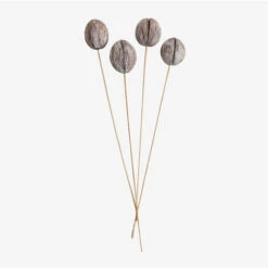 SKLUM Confezione Da 4 Rami Secchi Decorativi Mintola Gris - Madera Natural