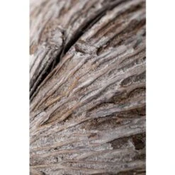 SKLUM Confezione Da 4 Rami Secchi Decorativi Mintola Gris - Madera Natural 9 SKLUM Confezione Da 4 Rami Secchi Decorativi Mintola Gris - Madera Natural -Vendite ATMOSPHERA 77183385 5