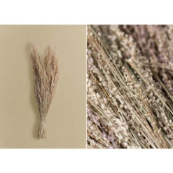 SKLUM Ramo Decorativo Ainala Colori Naturali -Vendite ATMOSPHERA 77183386 3