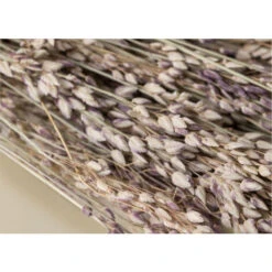 SKLUM Ramo Decorativo Ainala Colori Naturali -Vendite ATMOSPHERA 77183386 4