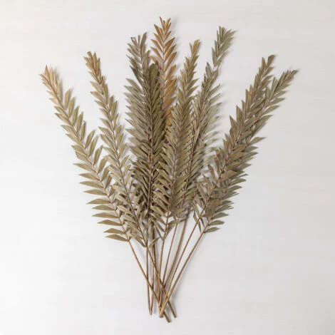 SKLUM Confezione Da 10 Rami Secchi Decorativi Sarat Verde Bambù 1 SKLUM Confezione Da 10 Rami Secchi Decorativi Sarat Verde Bambù