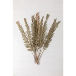 SKLUM Confezione Da 10 Rami Secchi Decorativi Sarat Verde Bambù 7 SKLUM Confezione Da 10 Rami Secchi Decorativi Sarat Verde Bambù -Vendite ATMOSPHERA 77183391 3