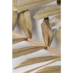 SKLUM Confezione Da 10 Rami Secchi Decorativi Sarat Verde Bambù 9 SKLUM Confezione Da 10 Rami Secchi Decorativi Sarat Verde Bambù -Vendite ATMOSPHERA 77183391 5