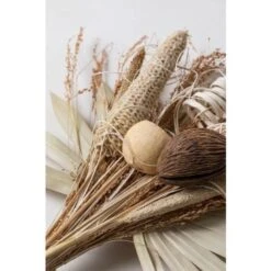 SKLUM Borasus Ramo Decorativo Colori Naturali -Vendite ATMOSPHERA 77183396 4