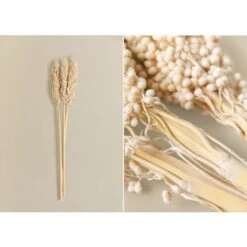 SKLUM Confezione Da 3 Rami Decorativi Marbia Beige Crema -Vendite ATMOSPHERA 77183399 3