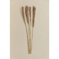 SKLUM Confezione Da 4 Rami Secchi Decorativi Pampy Marrone Grano -Vendite ATMOSPHERA 77183407 4