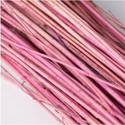 SKLUM Mazzo Di Fiori Secchi Decorativi Bairad Prugna Rosa 8 SKLUM Mazzo Di Fiori Secchi Decorativi Bairad Prugna Rosa -Vendite ATMOSPHERA 77183408 4