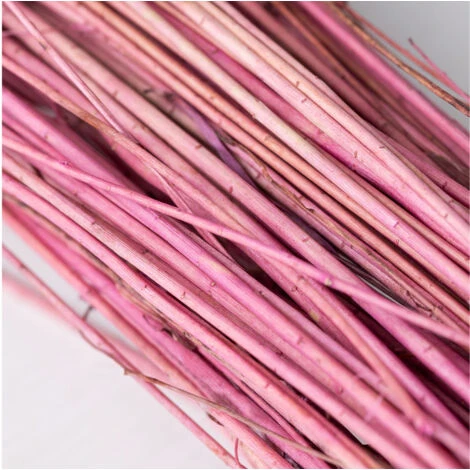 SKLUM Mazzo Di Fiori Secchi Decorativi Bairad Prugna Rosa 4 SKLUM Mazzo Di Fiori Secchi Decorativi Bairad Prugna Rosa - immagine 4