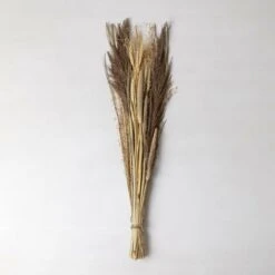 SKLUM Mazzo Di Fiori Secchi Grostic Colori Naturali