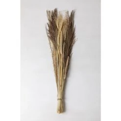 SKLUM Mazzo Di Fiori Secchi Grostic Colori Naturali -Vendite ATMOSPHERA 77183413 3