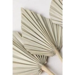 SKLUM Confezione Da 6 Rami Secchi Decorativi Beliefe Verde Bambù -Vendite ATMOSPHERA 77183419 4