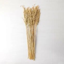 SKLUM Ramo Decorativo Di Jayra Beige Crema