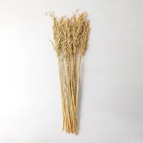 SKLUM Ramo Decorativo Di Jayra Beige Crema 1 SKLUM Ramo Decorativo Di Jayra Beige Crema